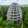 Touristik: Themenführungen auf dem Baumwipfelpfad