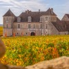 Touristik: Genussreisen ins Burgund