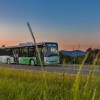 Studie: Busverkehr verdoppeln, um die Klimaziele zu erreichen