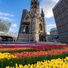 Berlin-Tipp: Tulpenpflückgarten neben der Gedächtniskirche