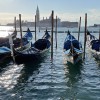 Tourismus: Eintrittsgebühr spült Millionen in die Kassen von Venedig