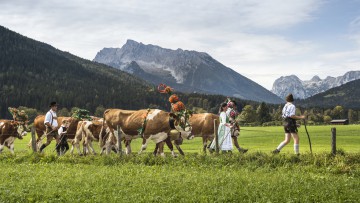 Almabtrieb, Bayern