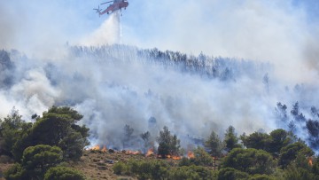 Waldbrand in Keratea, Attika, Griechenland