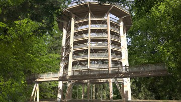 Baumwipfelpfad_Elsass