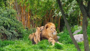 Zoo_Leipzig