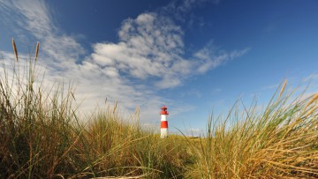 Sylt, Nordsee, Ellenbogen, Leuchtturm, Strand