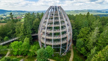 Baumwipfelpfad_Bayerischer_Wald