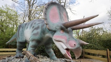 Dinosaurier_Zoo_Leipzig