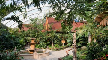Zoom_Erlebniswelt_Tropenparadies