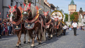Straubng_Trachtenumzug_Gaeubodenfest