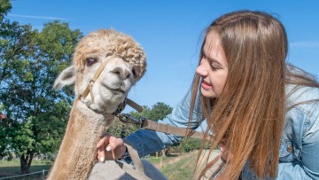 Kinderreisen im Lausitzer Seenland