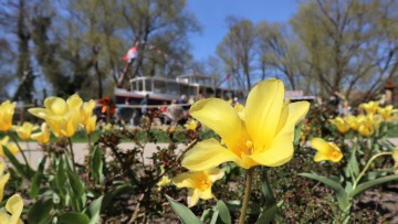 Landesgartenschau_Beelitz_LAGA 