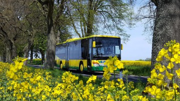 Linienbus_Ludwigslust-Parchim_VLP