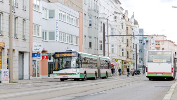 Linienbus_Magdeburg_Sachsen-Anhalt