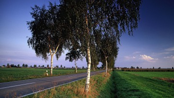 Landstraße in Ostbayern