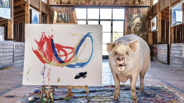 Pigcasso