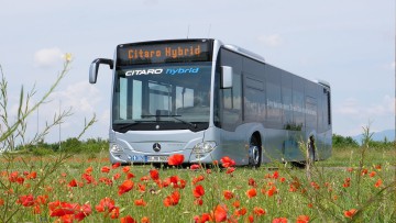 Rückruf Citaro