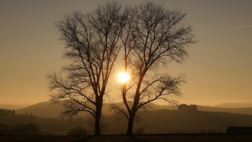 Sauerland_Camino_Pilgerweg