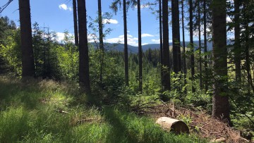 Schwarzwald_Tourismus_Nachhaltigkeit