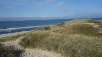 Strand_Schleswig_Holstein