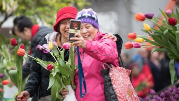 Tulpentag und Tulpenfest Amsterdam 2023