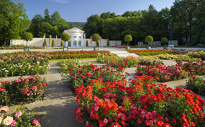 Rosarium Baden
