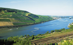 Wein, Wiesbaden, Rhein