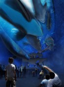 Deutschlands größtes Meeresmuseum öffnet