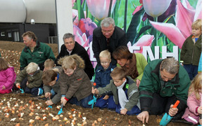 Keukenhof pflanzt Blumenzwiebeln auf dem BUGA-Gelände