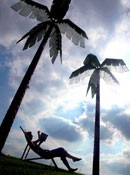 Urlaubsbarometer 2008: Fernreisen sind out