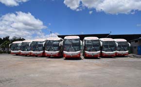 Mercedes-Benz do Brasil: Über 300 Busse für Ecuador