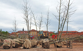 Landesgartenschau Landau