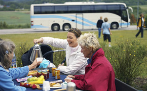 Reise, Bustourismus