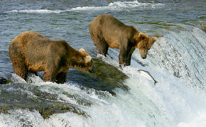 Ahorn Reisen mit neuem Zubucher-Programm