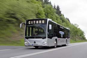 CitaroTrier