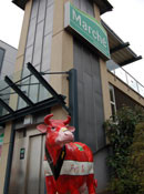 Marché startet in Ungarn durch