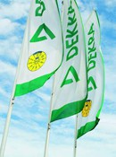 DEKRA
