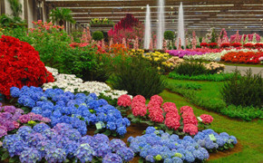 Floralien