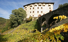 Die Gärten von Schloss Trauttmansdorff