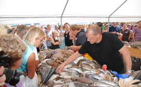 HavenVIStijn Fischausstellung