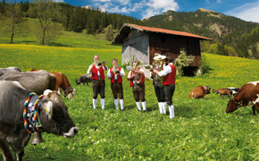 Blasmusikfestival Travel Partner
