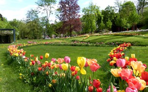 Landesgartenschau, Bad Schwalbach