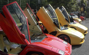 Die Stiere kommen nach Willingen!