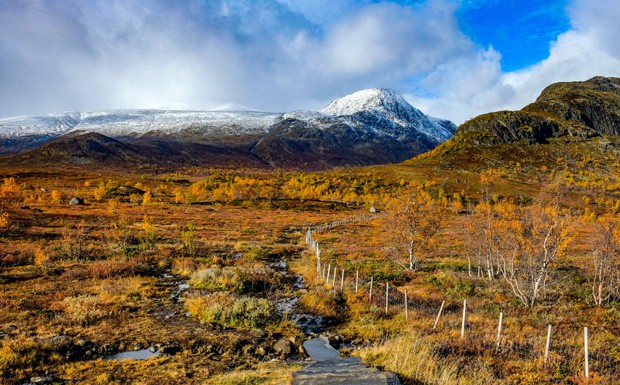 Service-Reisen: Nachhaltige Programme in Norwegen