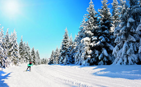 Skiwanderweg Rennsteig