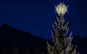 Funkelnde Wintermomente in den Swarovski Kristallwelten