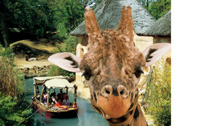 Hannover: Busreiseangebote für Zoo-Sommersaison 2014