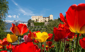 Schloss Trauttmansdorff