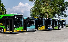 Solaris, Polen, Bushersteller