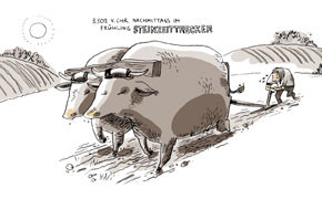 Sonderschau Nebra Pflug